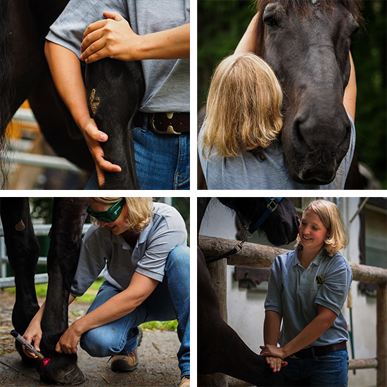 Die chiropraktische Behandlung