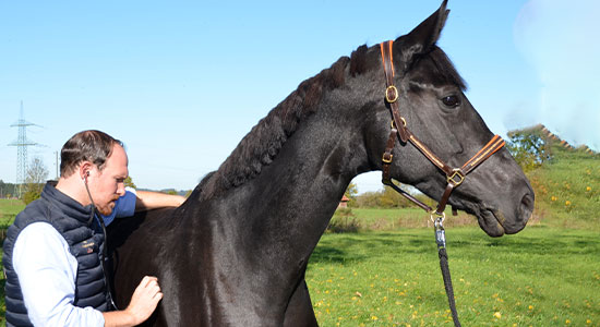 Atemwegserkrankungen