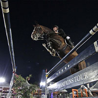 Turniertierarzt / FEI Treating Vet