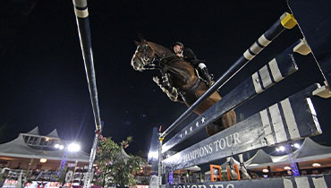 Turniertierarzt / FEI Treating Vet