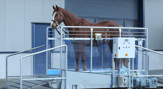 Rehabilitationsmedizin / Laufbandtherapie