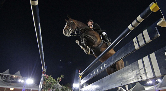 Turniertierarzt / FEI Treating Vet